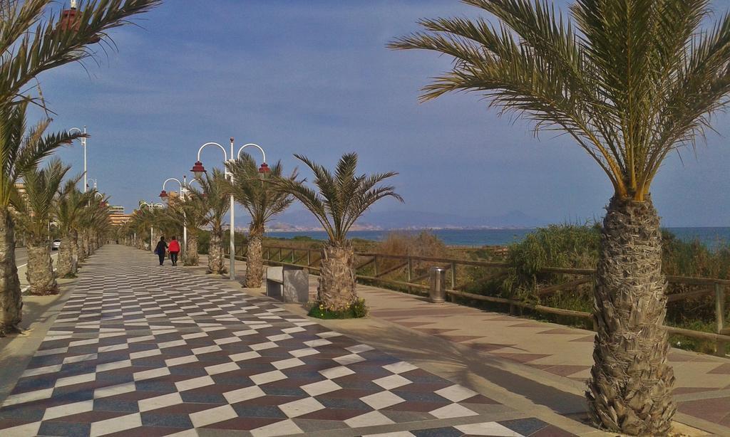Apartmán Apartament Playa Arenales Arenales del Sol Exteriér fotografie
